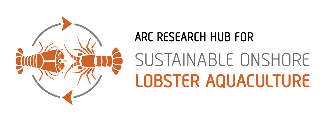 Sustainable Onshore Lobster Aquaculture